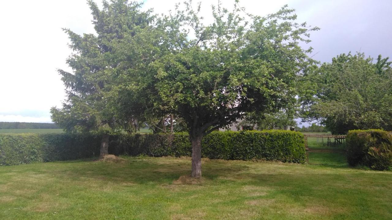 Grande Maison De Plain Pied Avec Jardin Arbore. Champignelles Exteriér fotografie